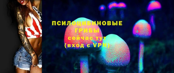 ГАЛЛЮЦИНОГЕННЫЕ ГРИБЫ Алексеевка