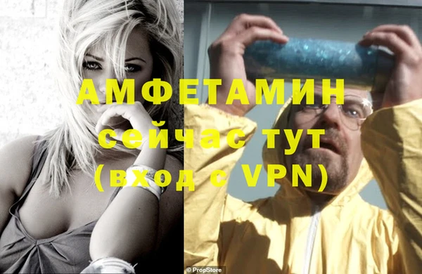 дмт Алзамай