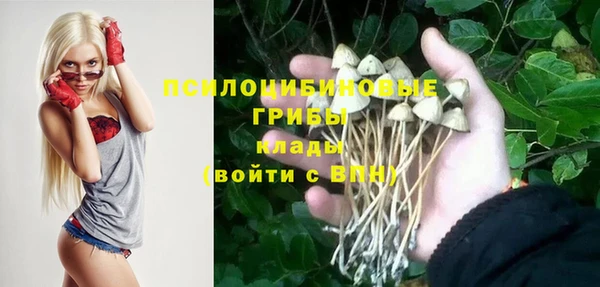 apvp Алексин