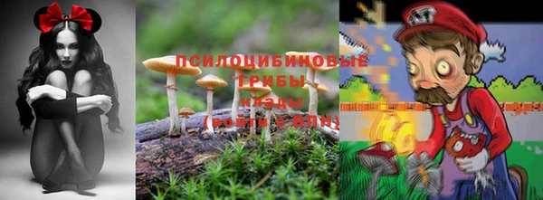 дмт Алзамай