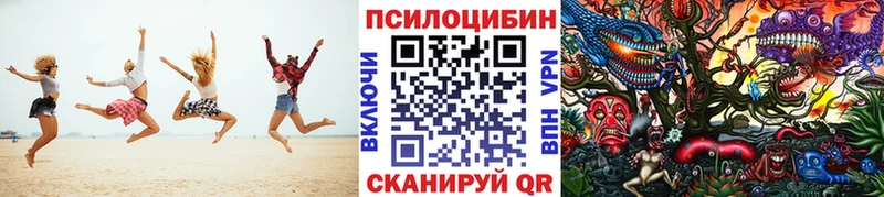 сколько стоит  Алексеевка  Псилоцибиновые грибы Cubensis 