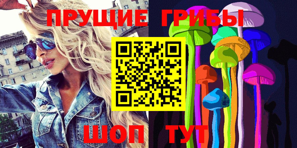Псилоцибиновые грибы Psilocybe Алексеевка