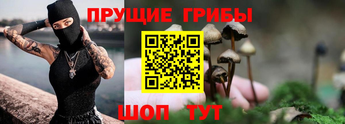 Галлюциногенные грибы MAGIC MUSHROOMS  Вход с VPN  Алексеевка 