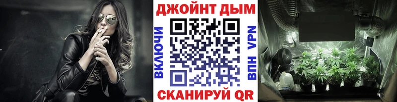 Конопля ГИДРОПОН купить наркотик Алексеевка